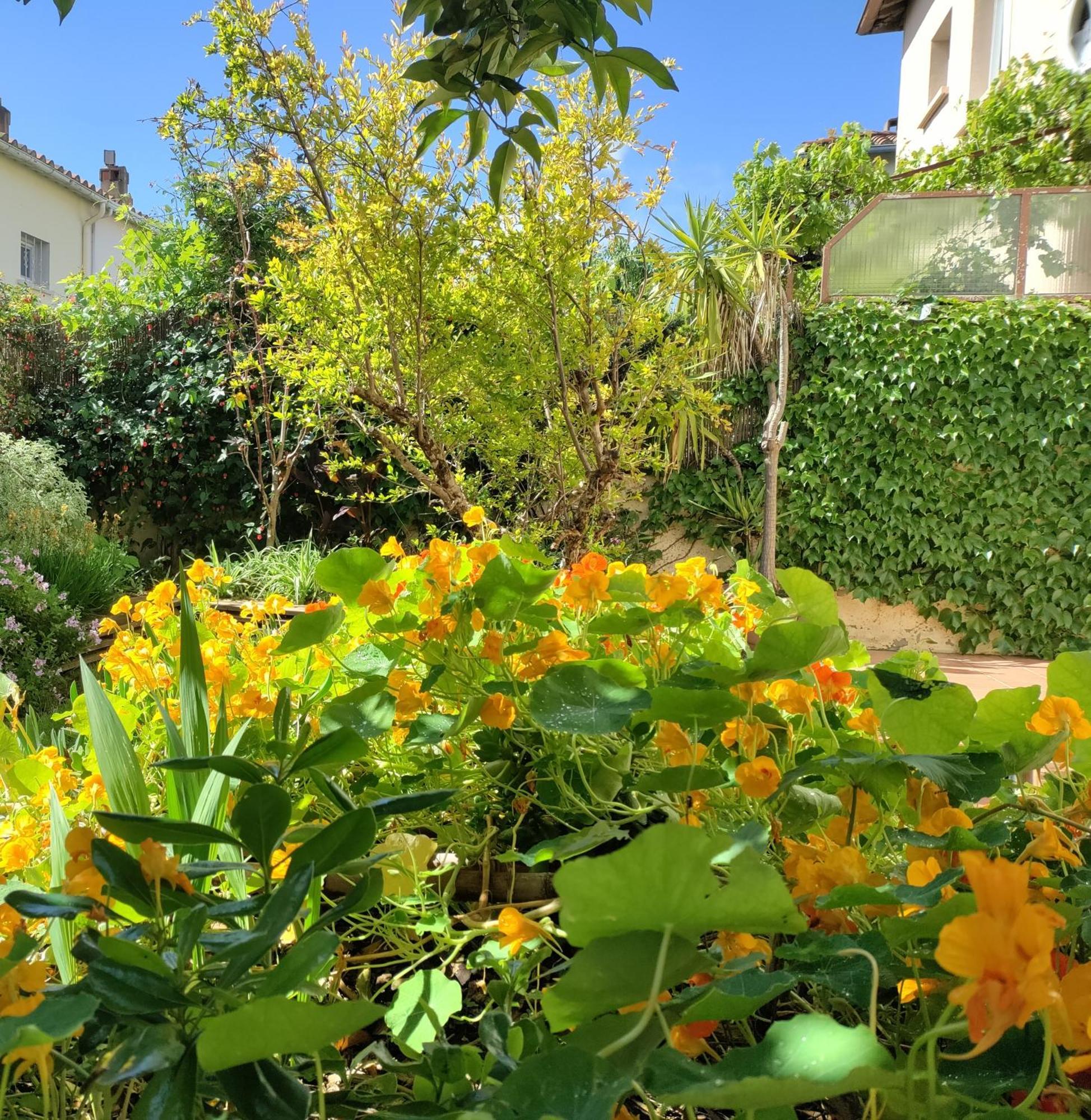 Les Papillons Apartment Perpignan Exterior photo